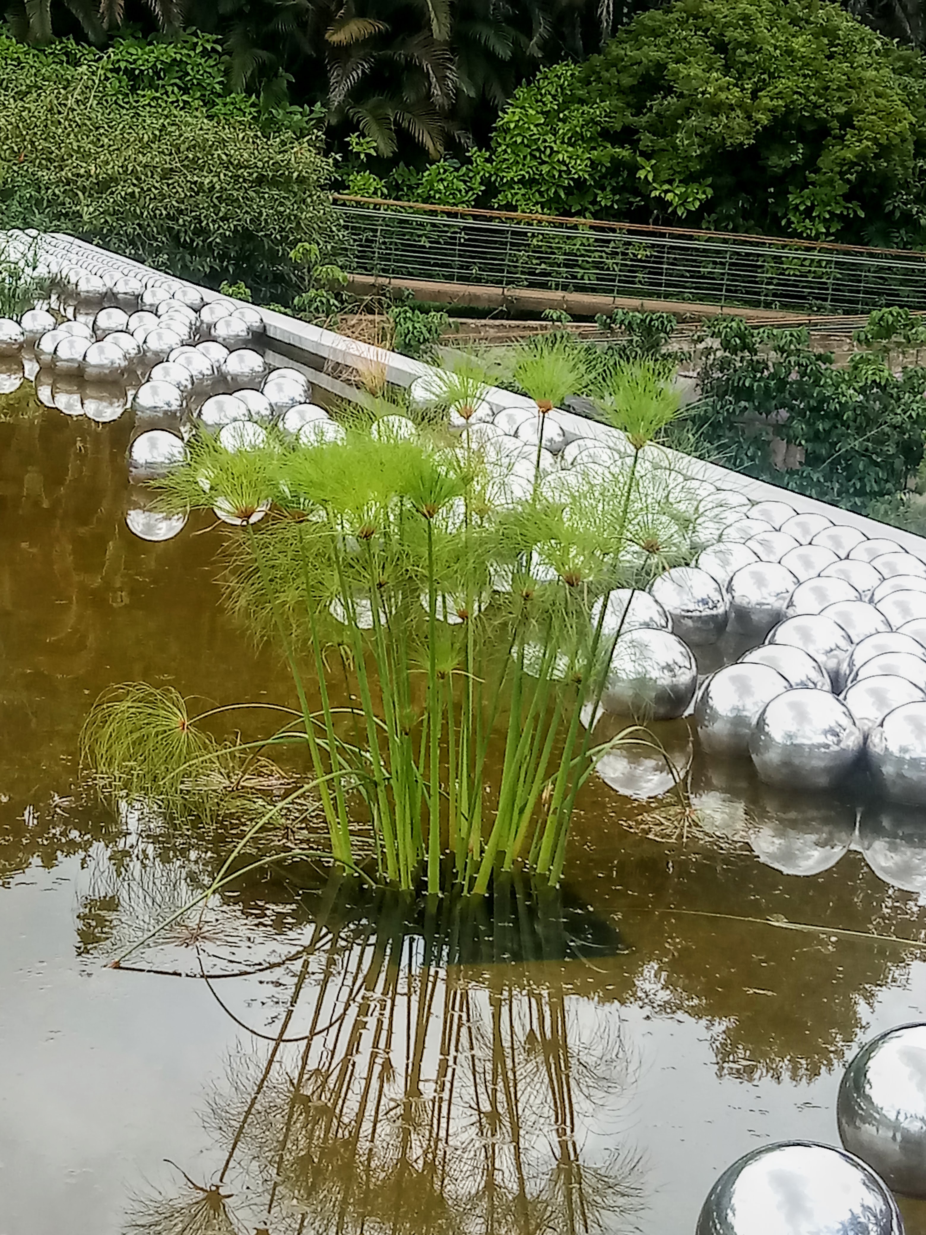 Papiros-gigante em obra de arte no Inhotim, em Brumadinho, RMBH.