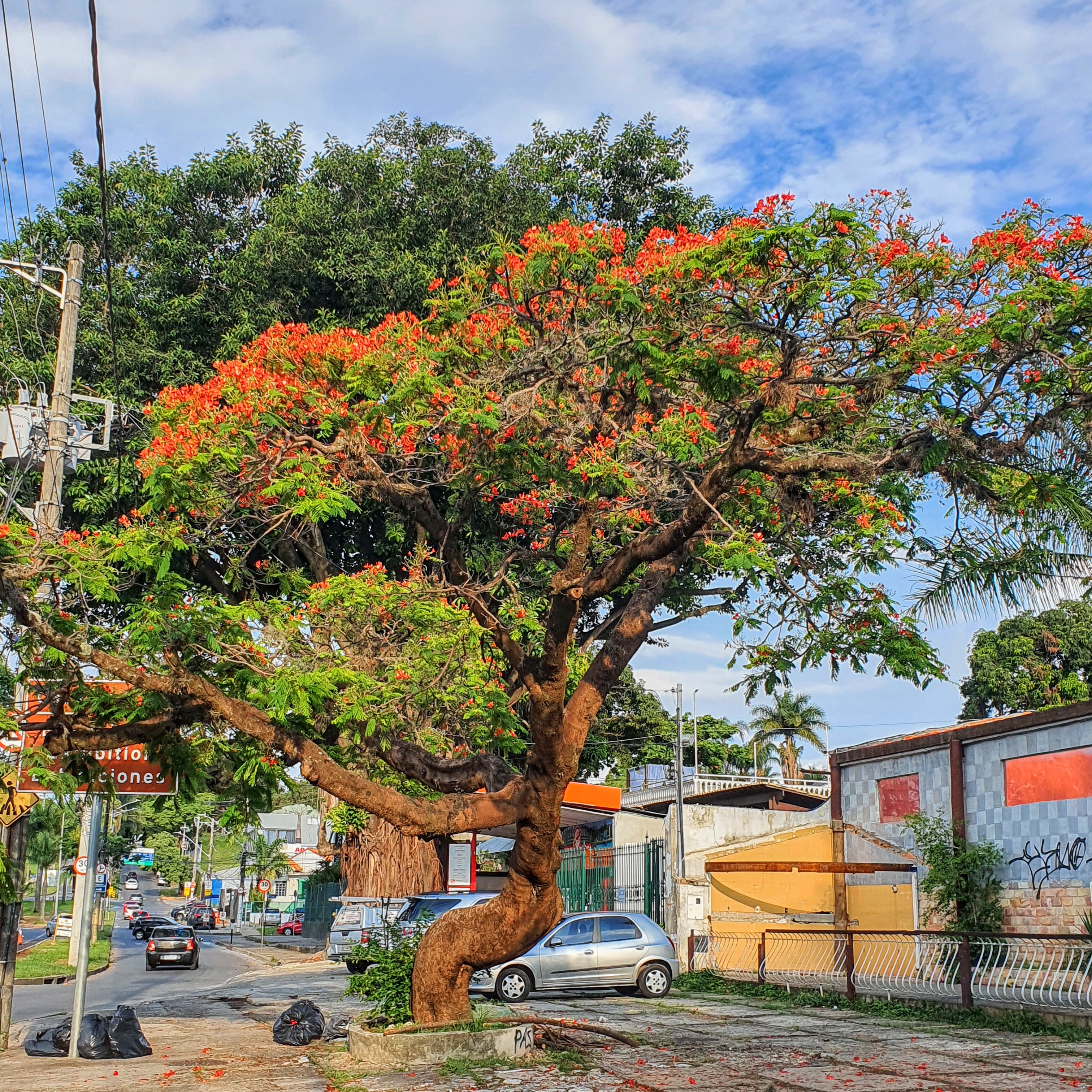 Cruzamento da Av. Otacílio Negrão de Lima com av. Santa Rosa. 09/11/2021