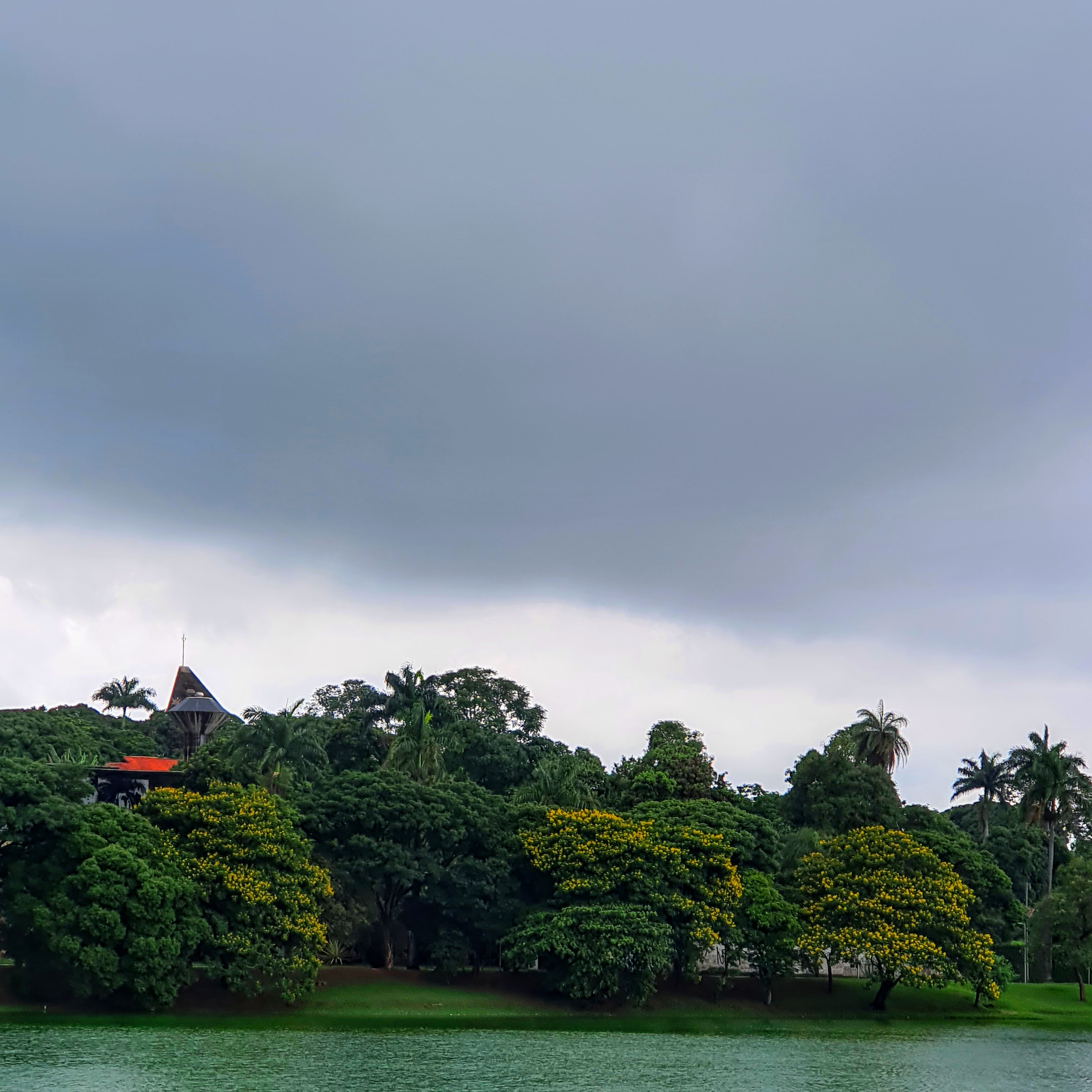 Céu carregado e canafístulas floridas.