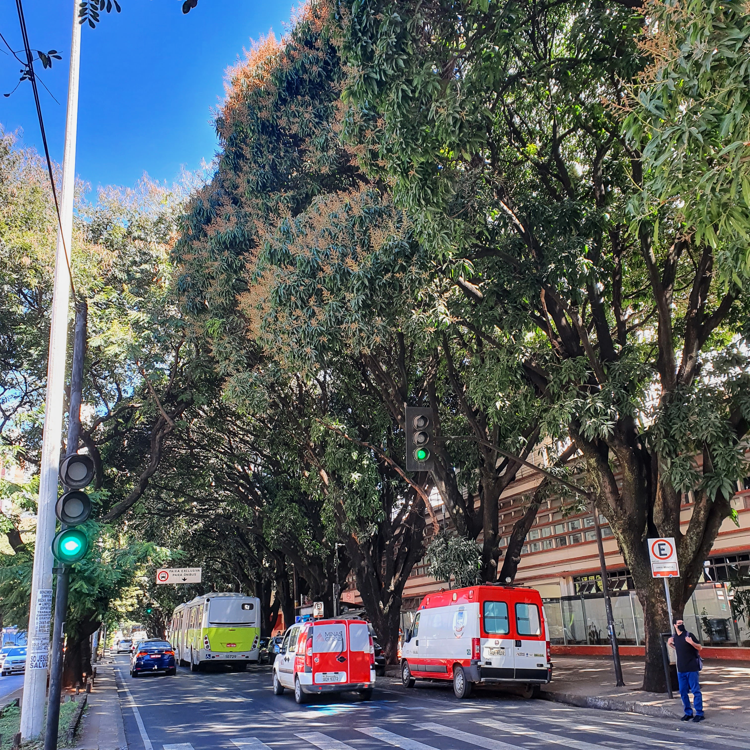 A área hospitalar de BH é cheia de mangueiras que, inclusive, deixam as ruas da região escuras, mesmo em dias ensolarados.