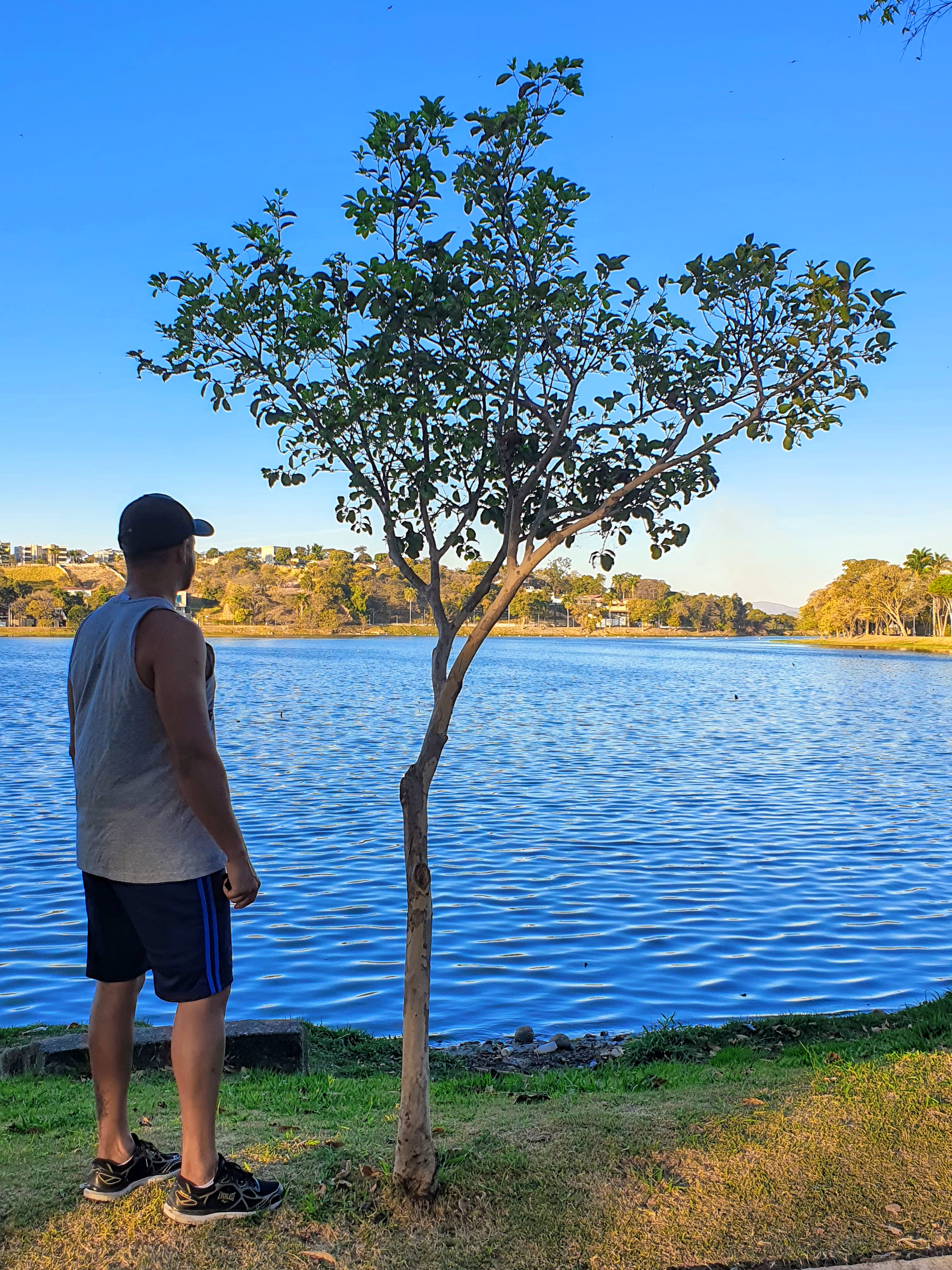 Guabiroba na orla da Lagoa da Pampulh.a, ao lado do mirante bem-te-vi