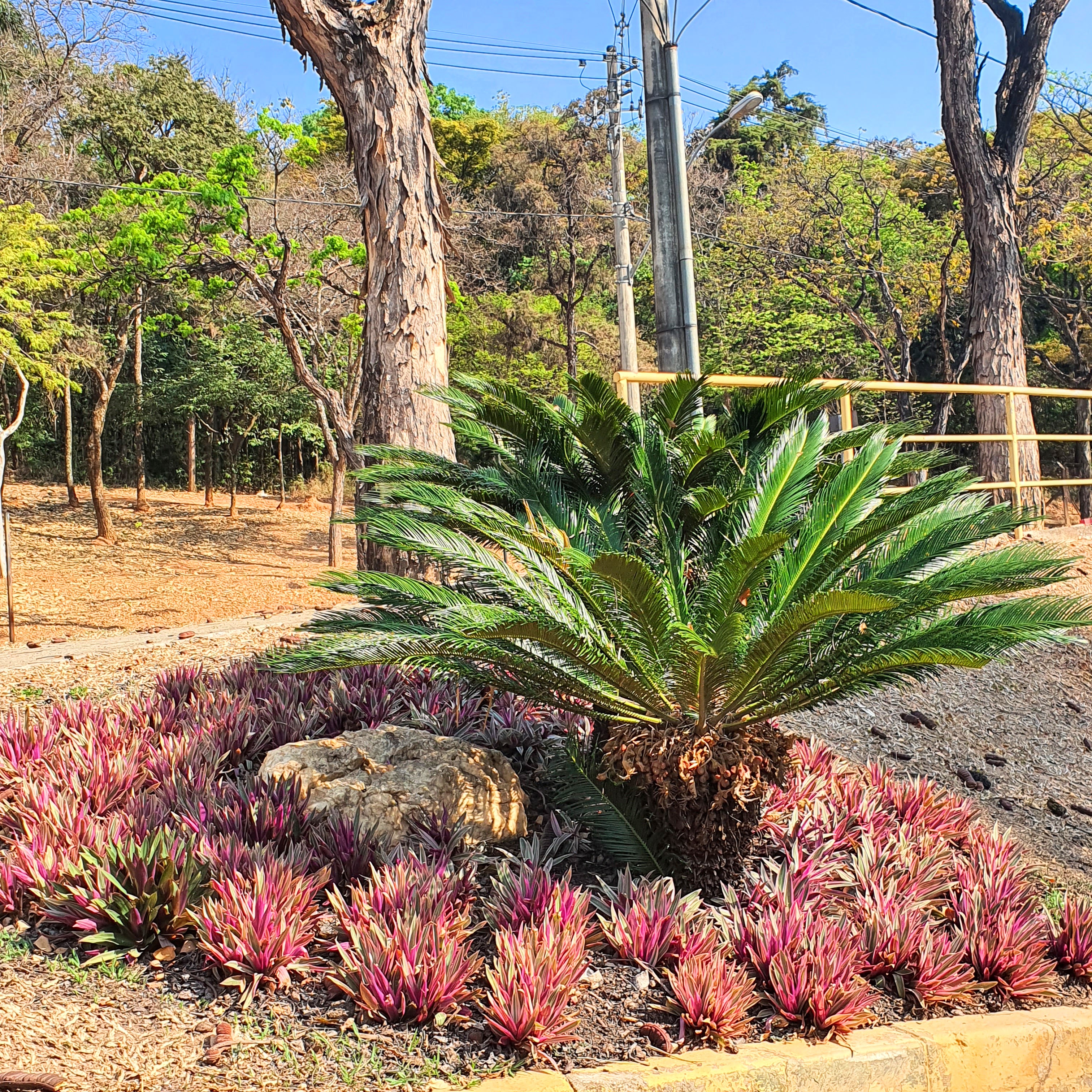 Maciço do lambaris.