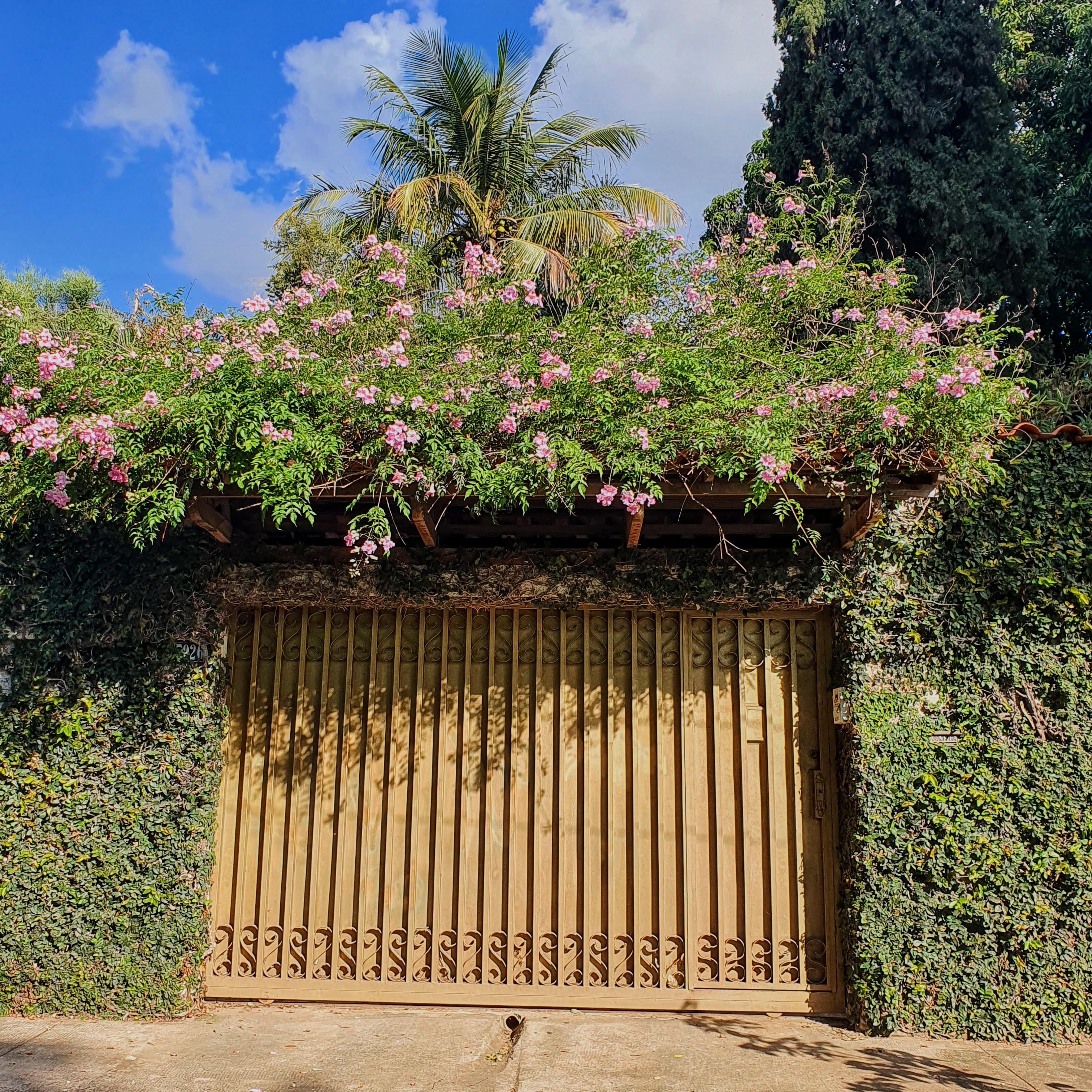 Sete-léguas sobre entrada de casa.