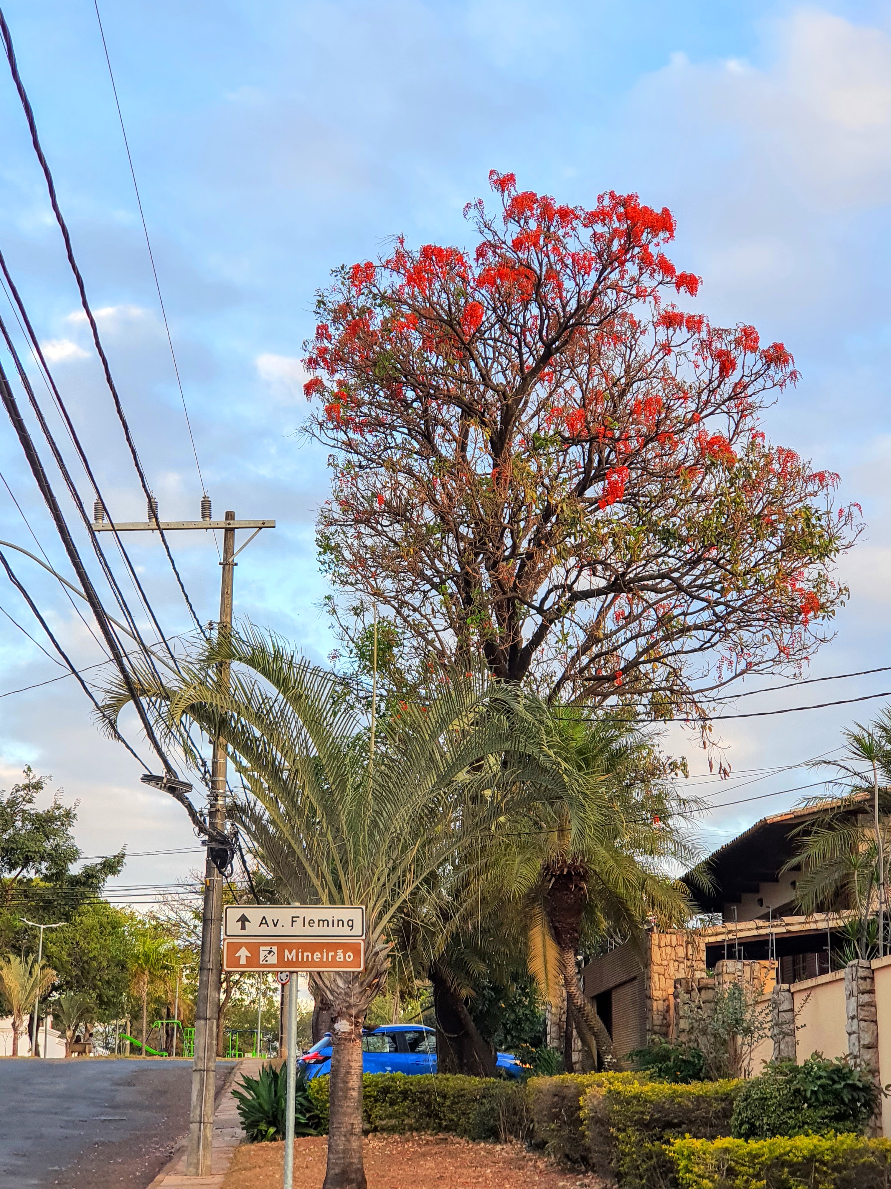 Avenida Novara, BH.