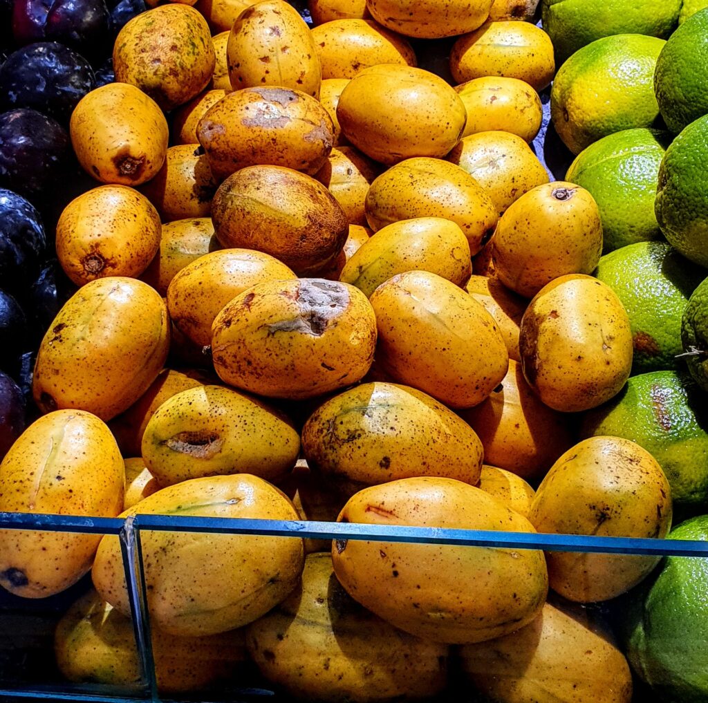 Frutos de cajaranas amarelos e maduros