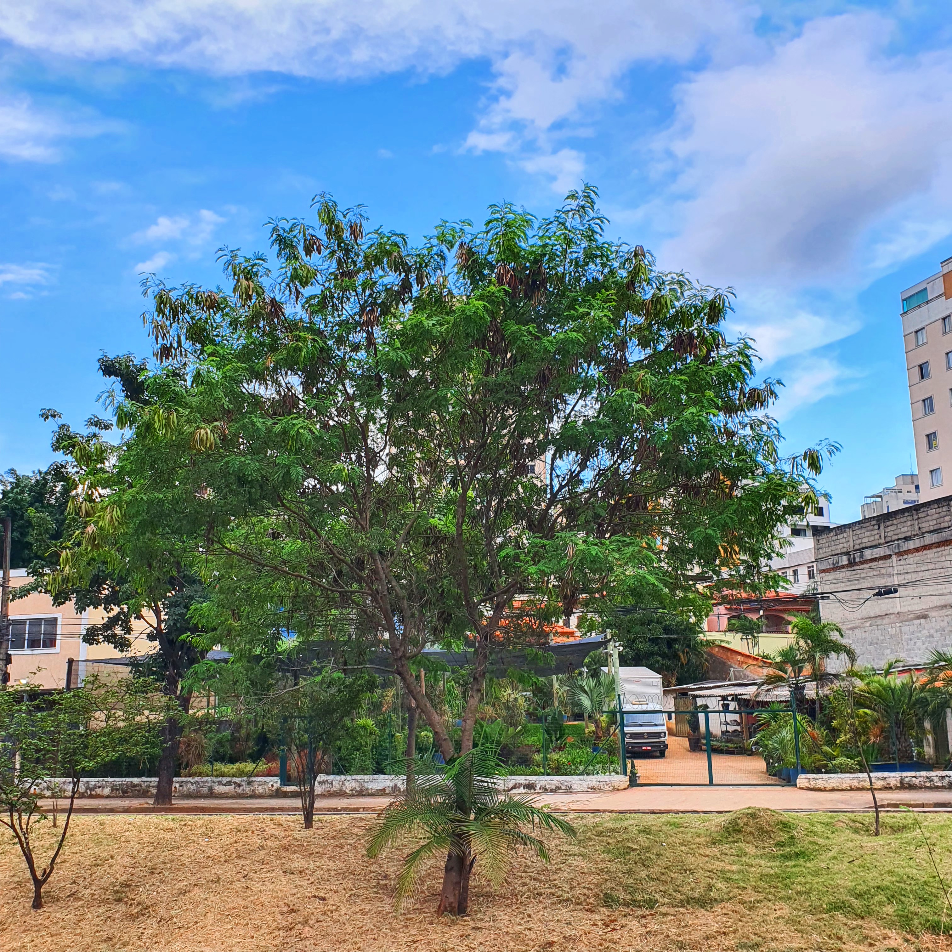 Avenida Tancredo Neves, próximo do cruzamento com a avenida Miguel Perrela, em BH.