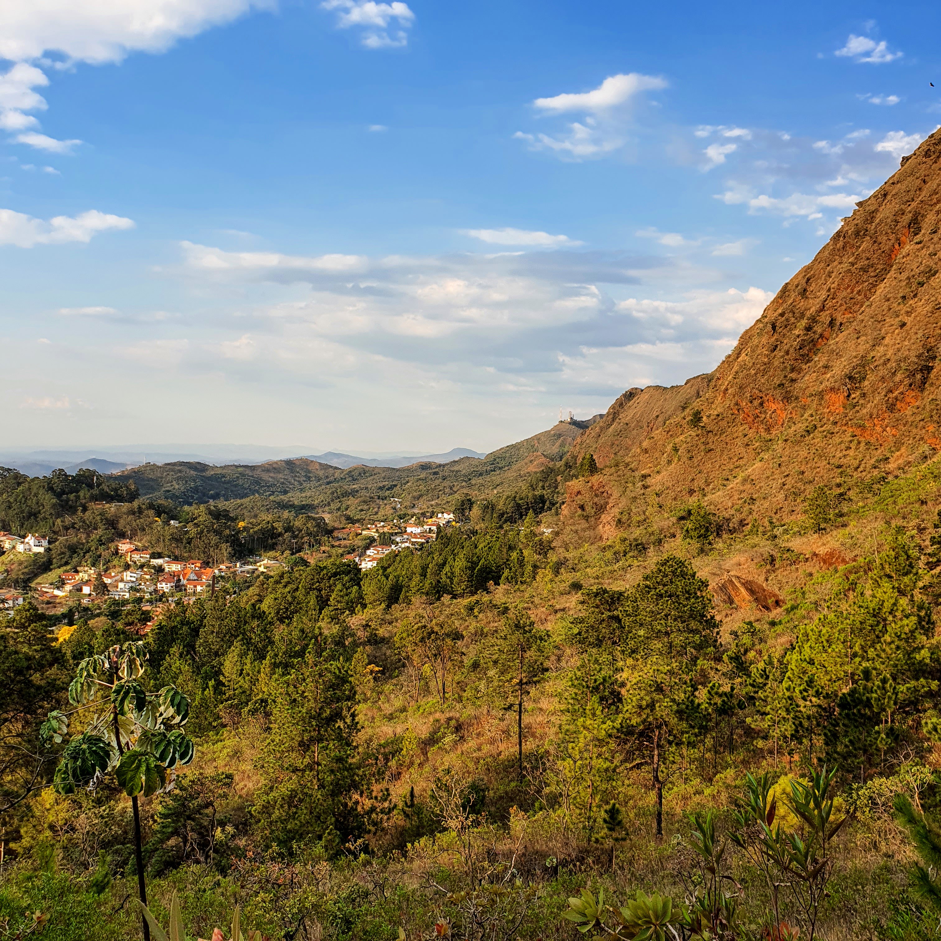 Vegetação do Parque da Serra do Curral.