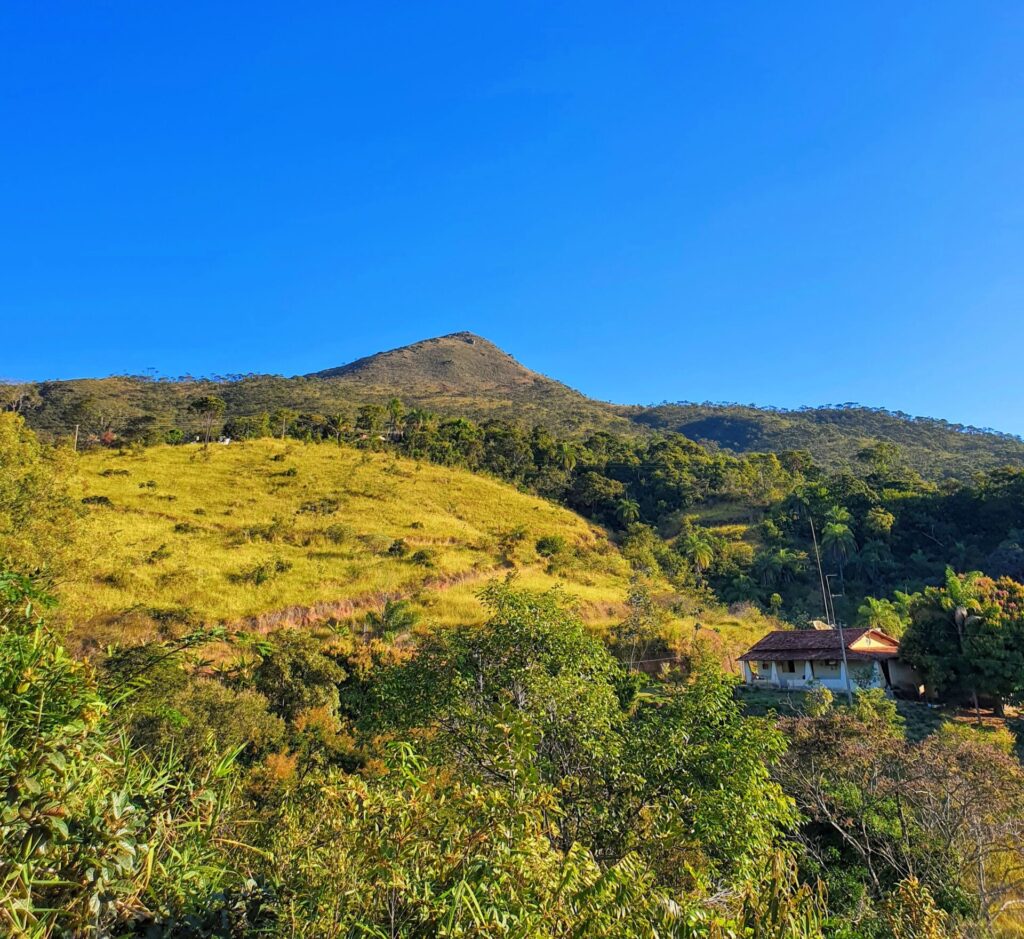 Área de vegetação campestre.