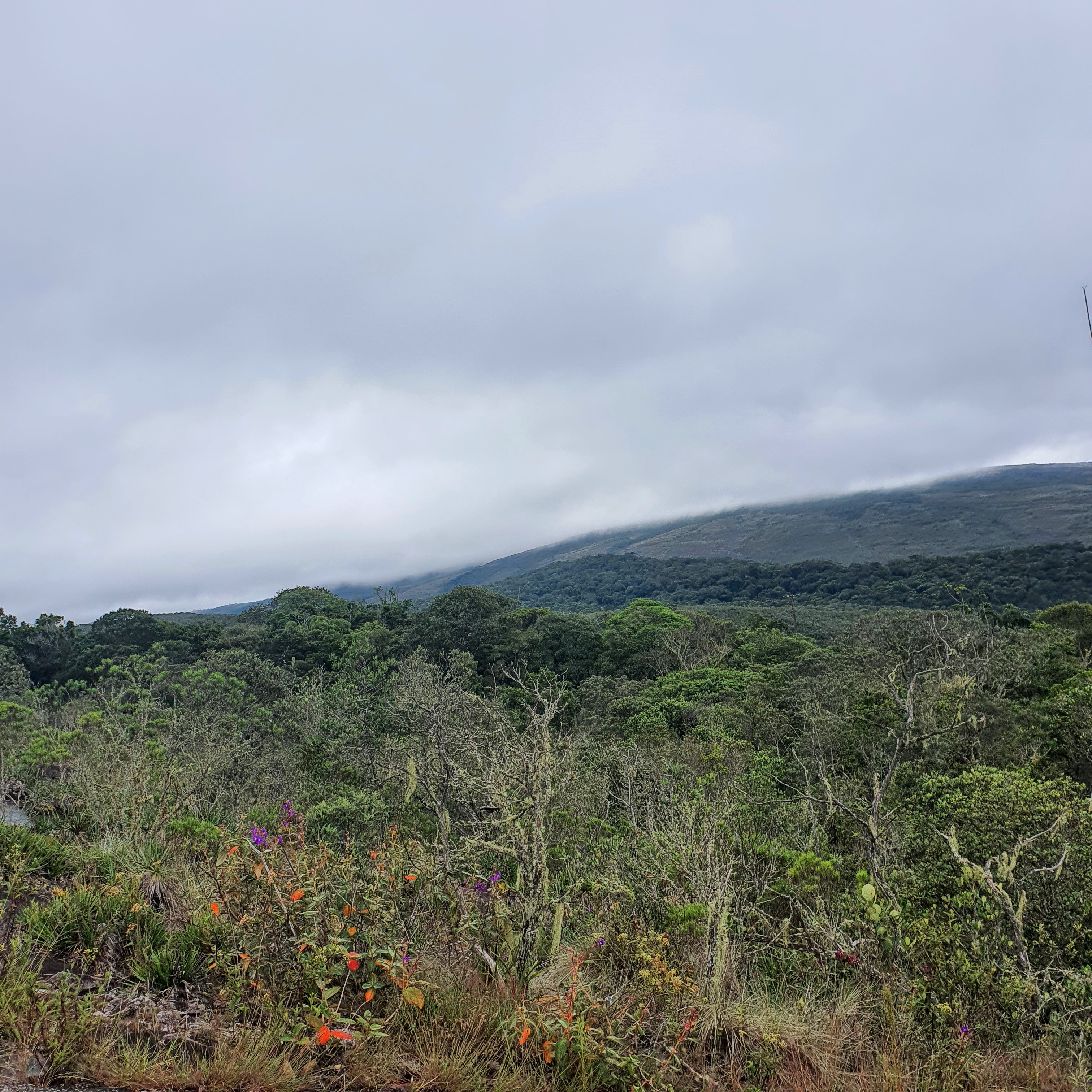 Área florestal mais densa.