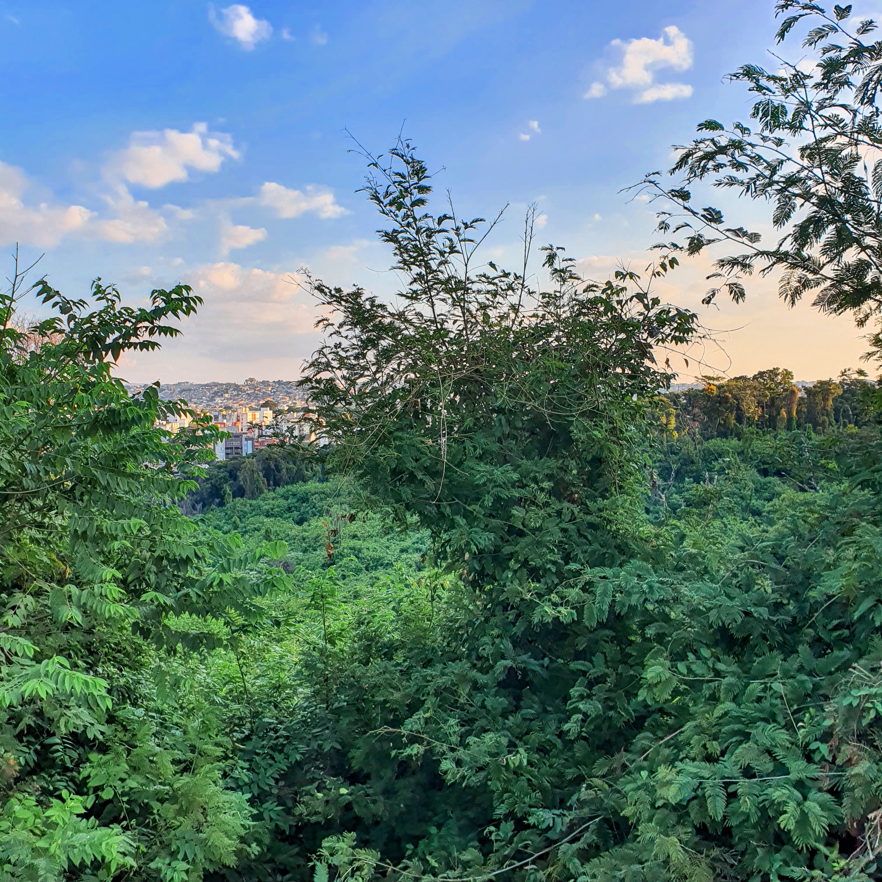 Área recuperada do Parque Municipal Ursulina de Melo Andrade.