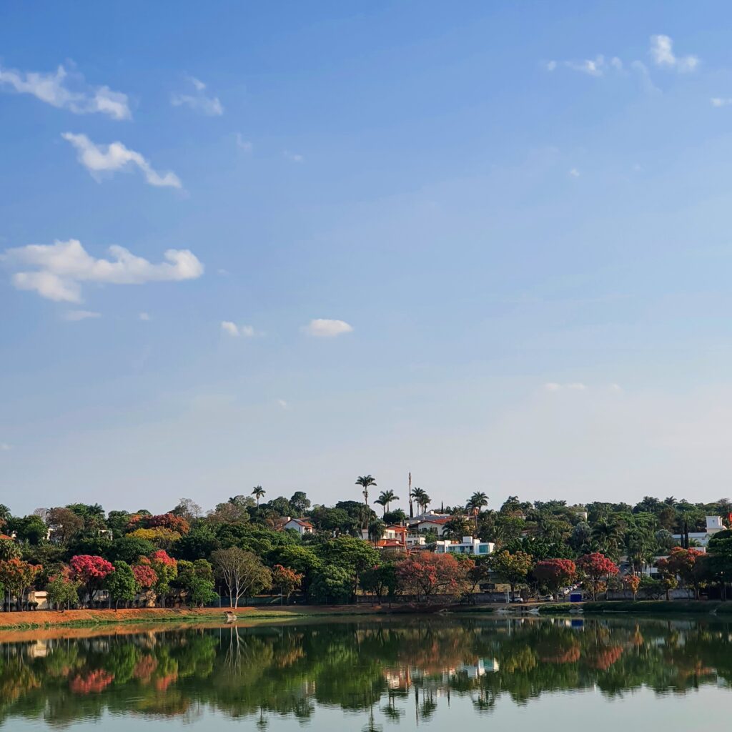 Sapucaias na orla da Lagoa da Pampulha.