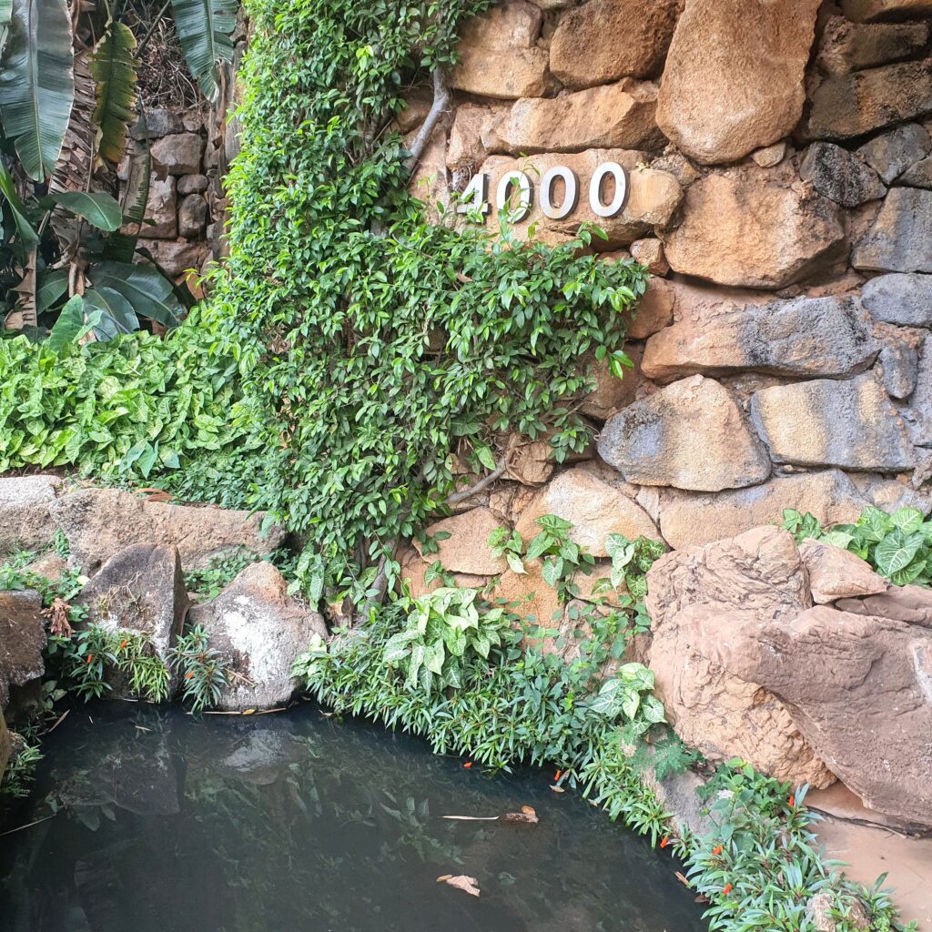 Lago ornamental com plantas ao redor.