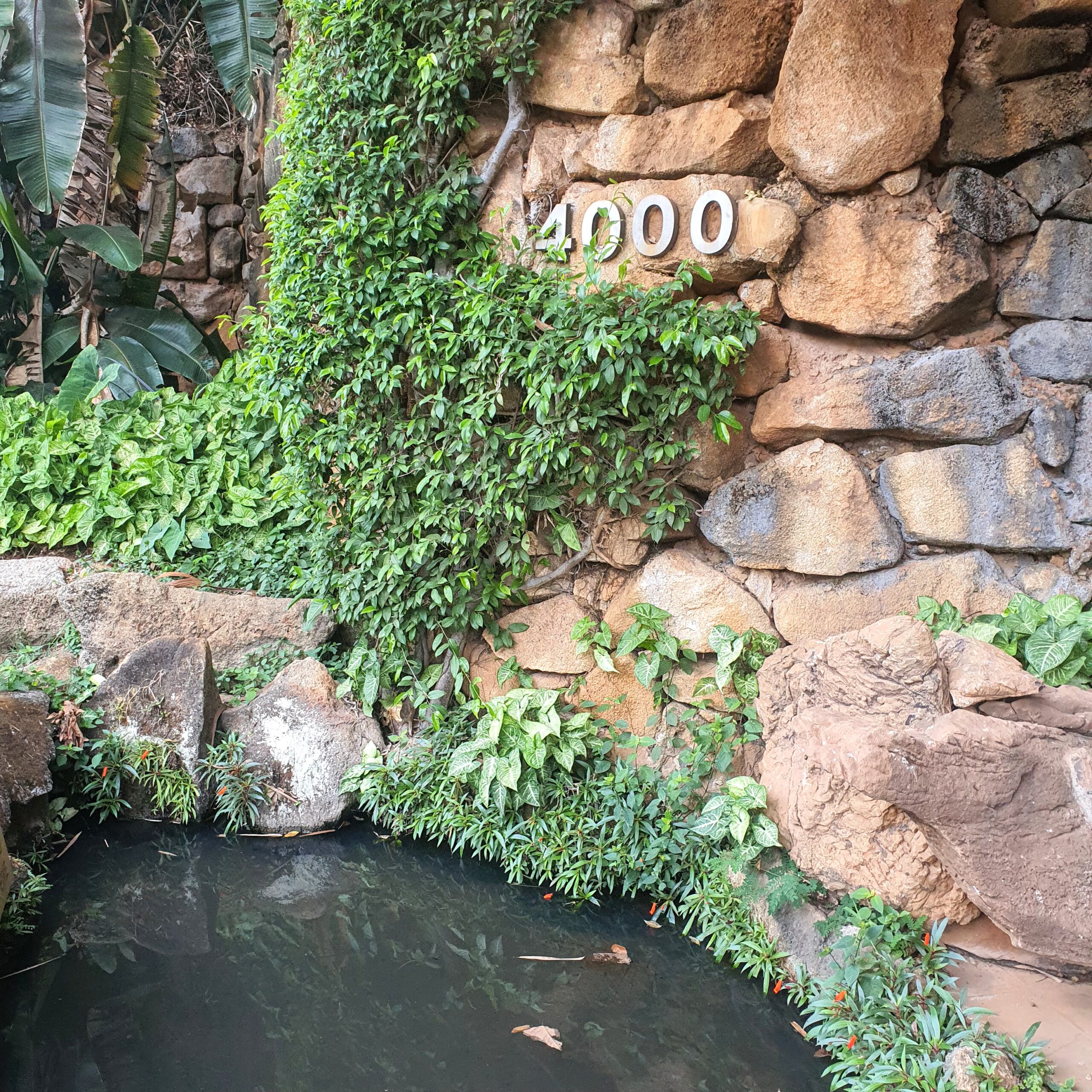 Lago ornamental com plantas ao redor.