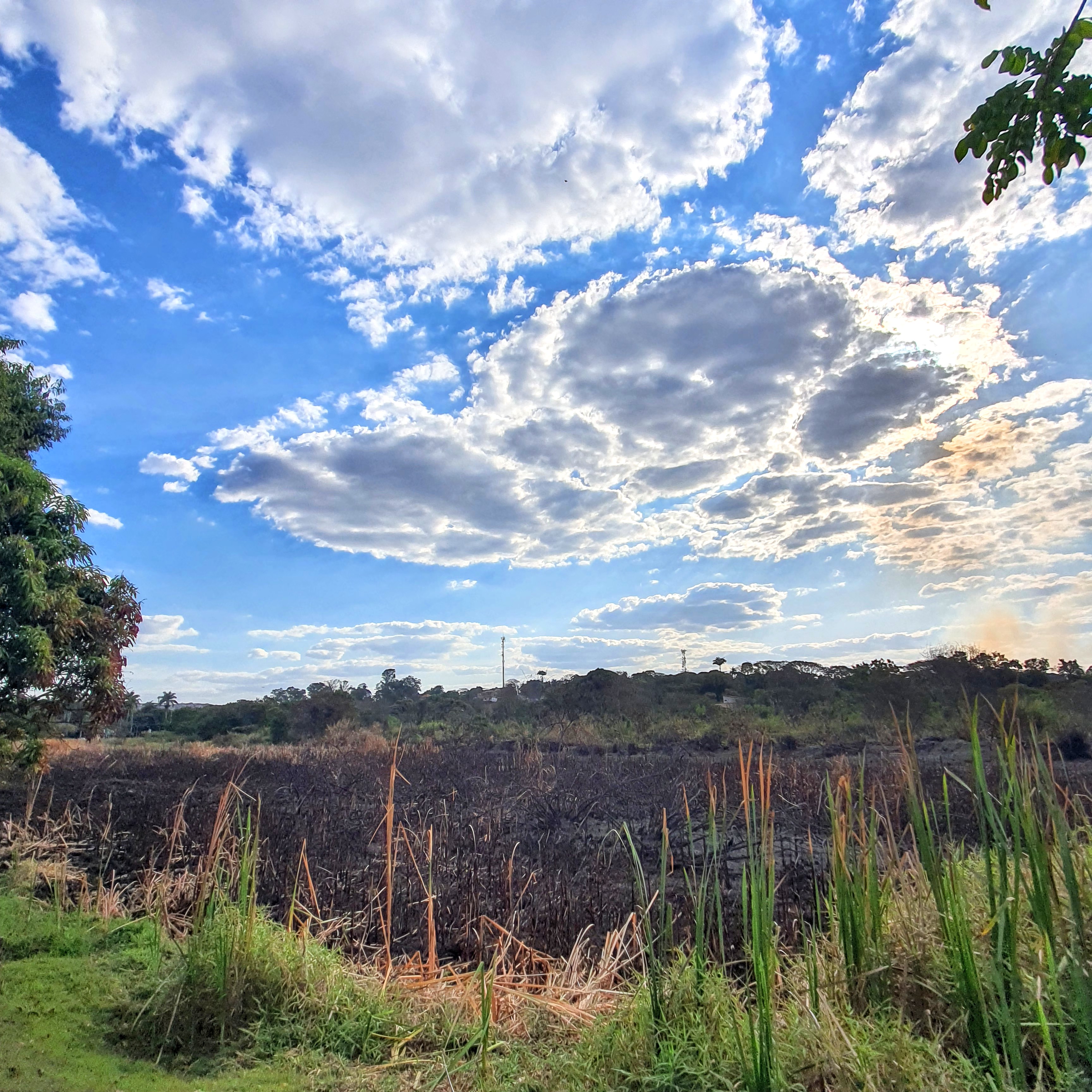 Incêndio em área brejosa na Lagoa da Pampulha.