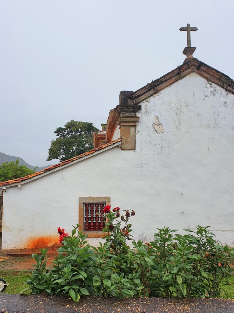 Jardim enfeitado com roseiras.
