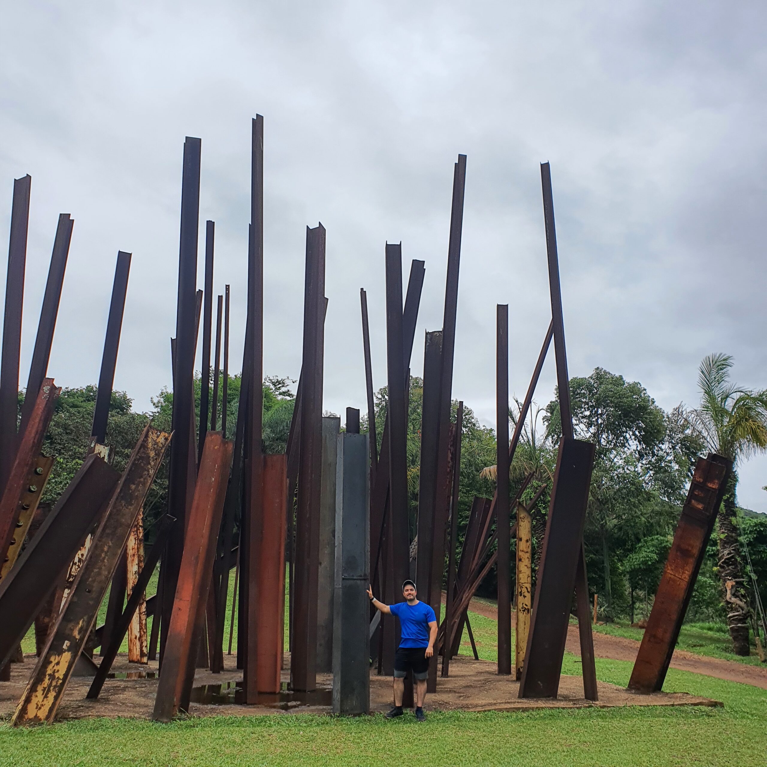 Inhotim O Maior Museu A Céu Aberto No Mundo Biologia Da Paisagem