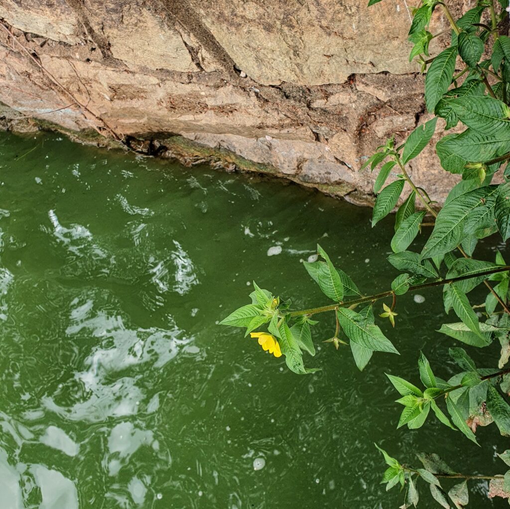 Cruz-de-malta em área cimentada .
