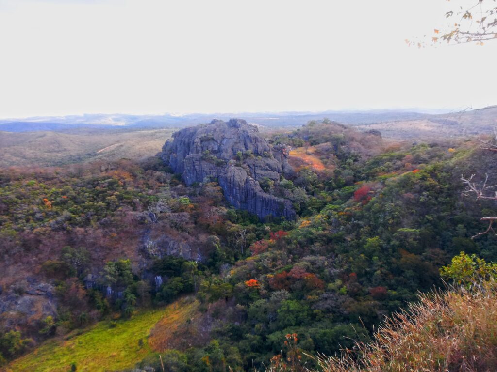 Floresta do PARNA Serra do Cipó.