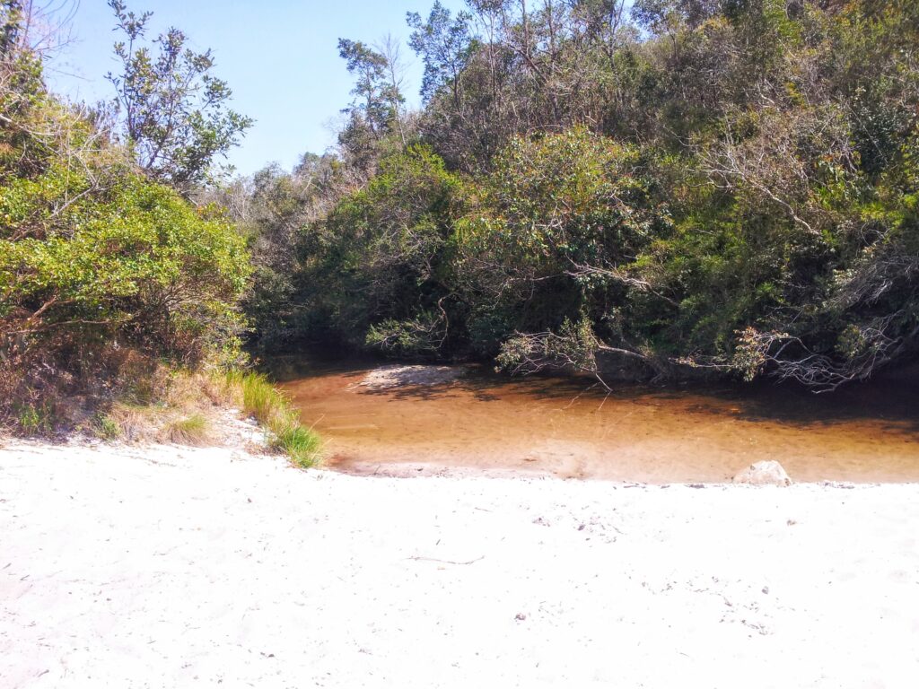 Área de APP na RPPN Santuário do Caraça.