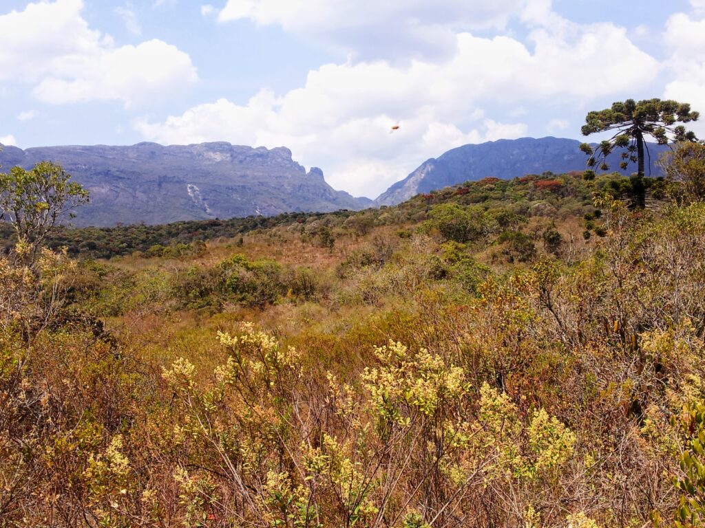 Aspectos naturais da paisagem da RPPN Santuário do Caraça.
