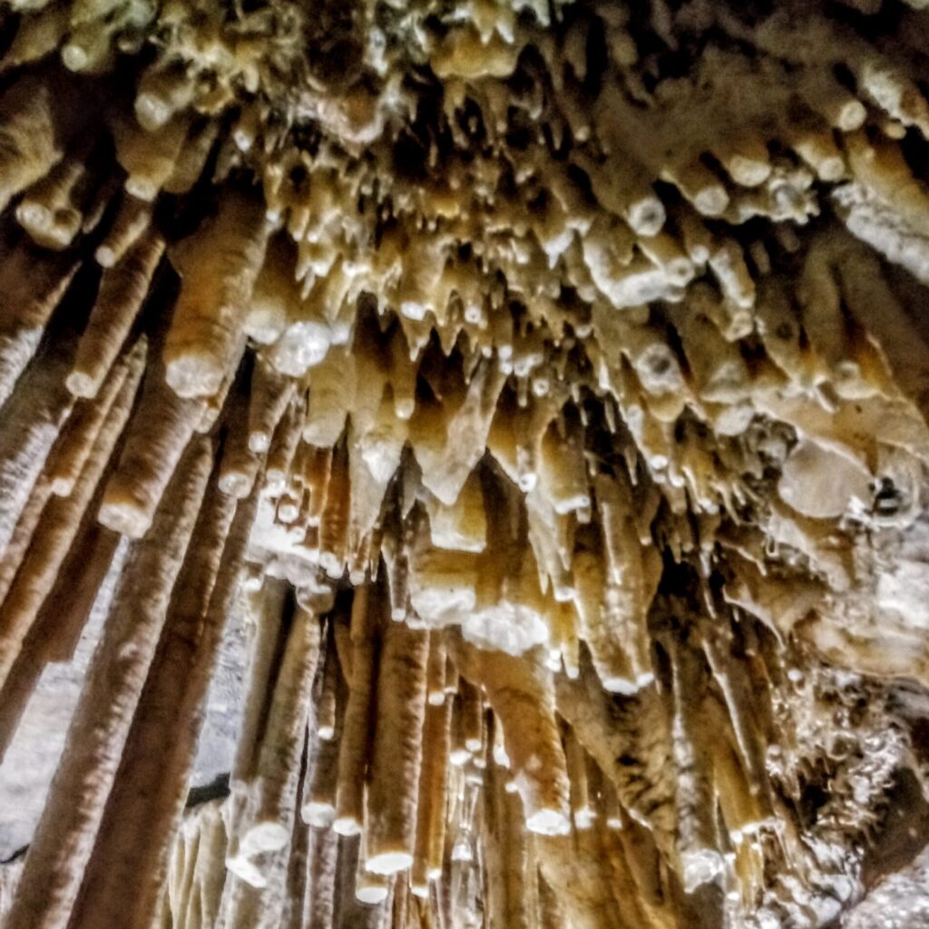 Estalactites na Gruta Rei do Mato.
