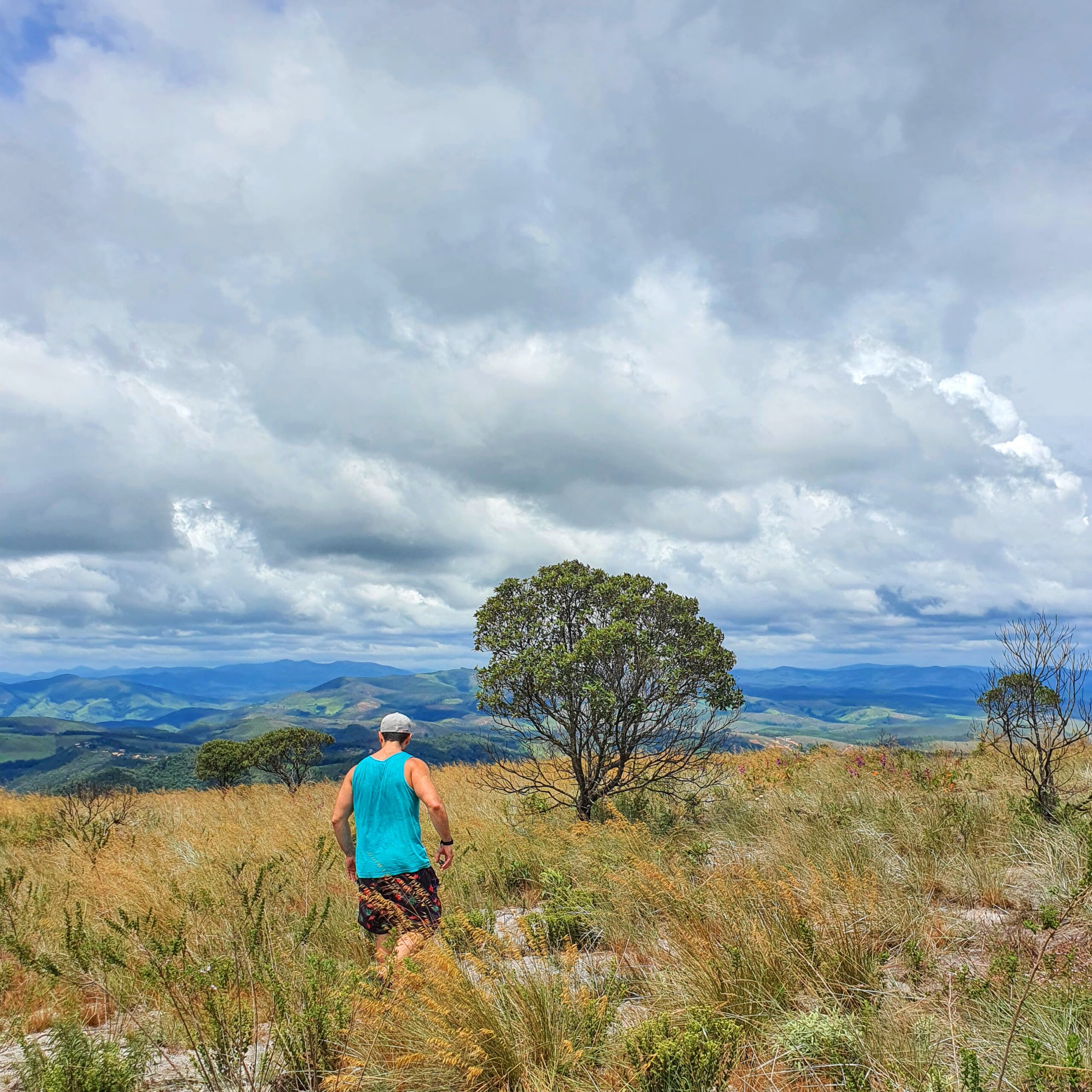 Os campos floridos do Parque Estadual de Ibitipoca.