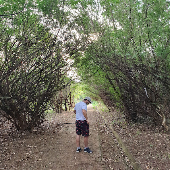 Bosque de juremas.