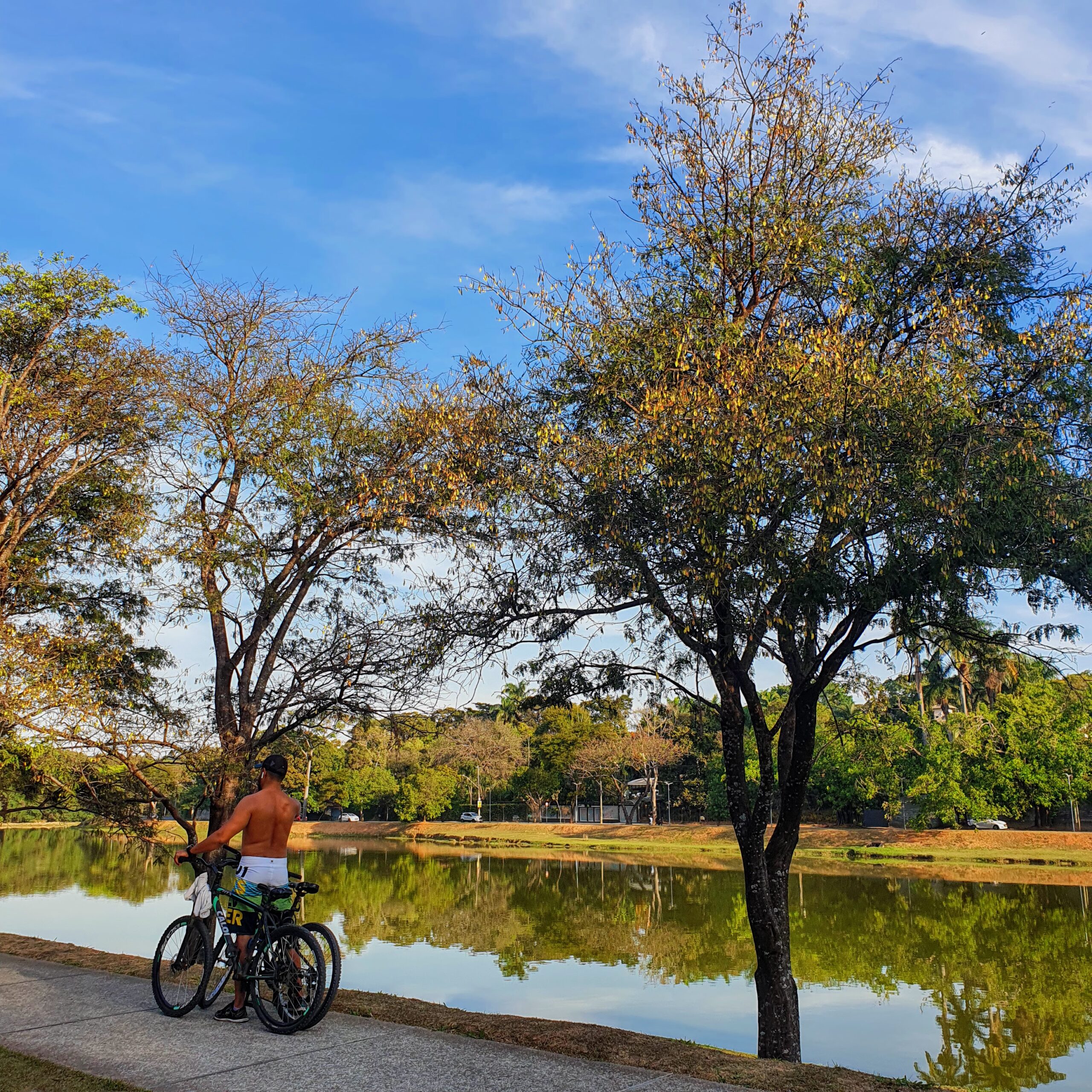 Barreiro na orla da Lagoa da Pampulha.