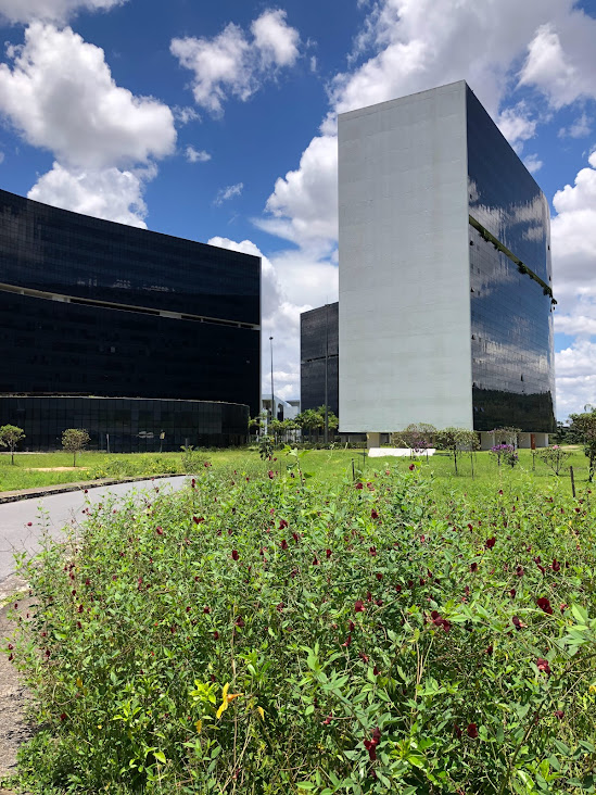 Maciço de siratros.