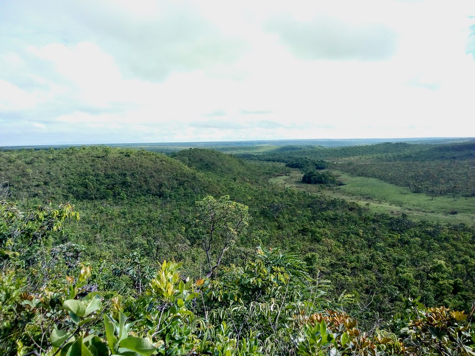 Área florestal do Parque Nacional das Emas