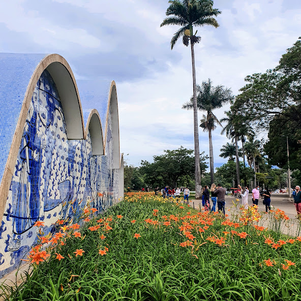 Belo maciço de lírios-de-são-josé.