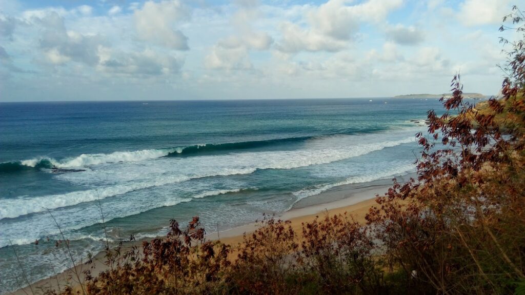 APA Fernando de Noronha.