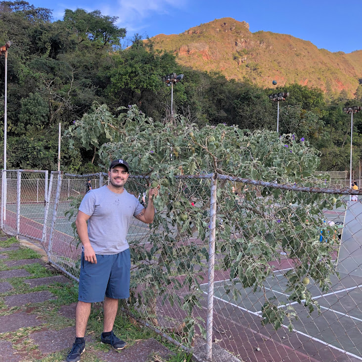 Lobeira no Parque das Mangabeiras.