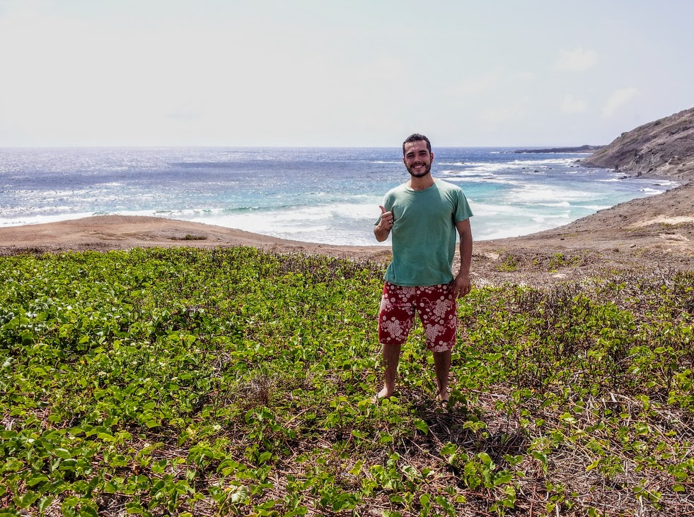 Salsa-da-praia em Fernando de Noronha.