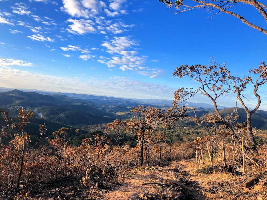 Área de cerrado queimada.