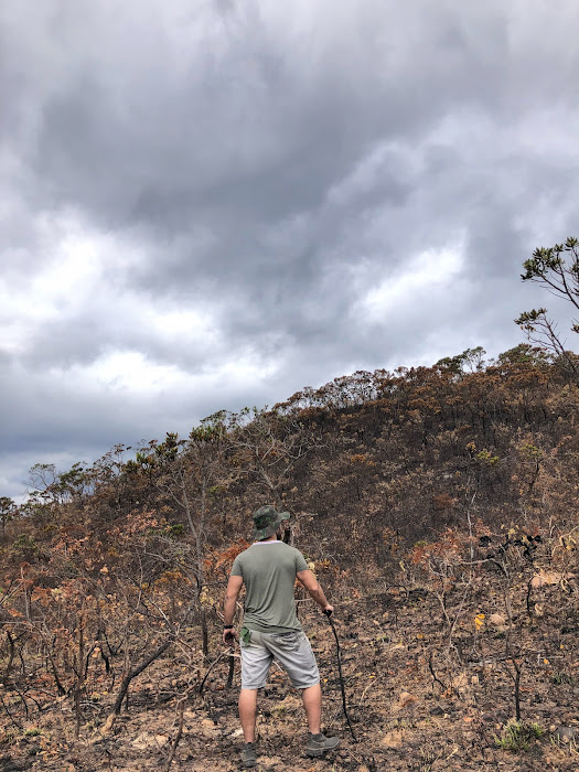 Visitação de área queimada.