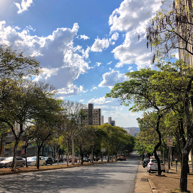 Arborização farta na Av. Afonso Pena, em Belo Horizonte.