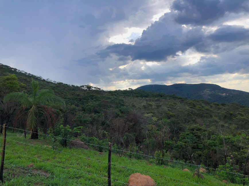 Área florestal significativamente recuperada