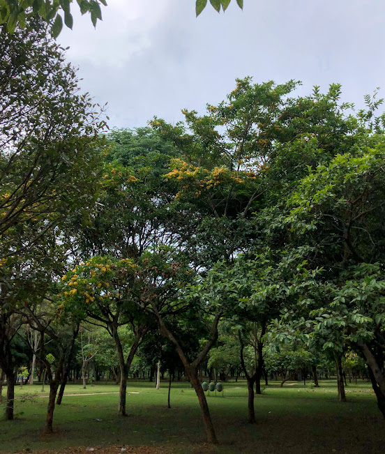 Parque Ecológico da Pampulha - BH. Foto em 28/10/2023.