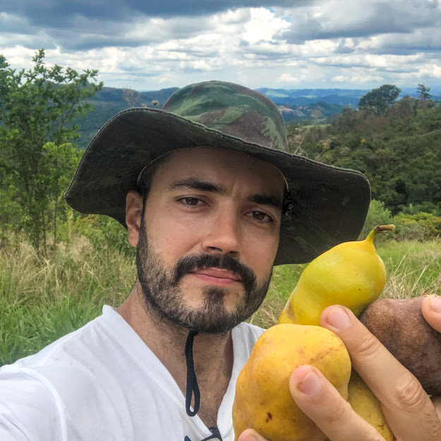 Frutos maduros do sangue-de-burro.