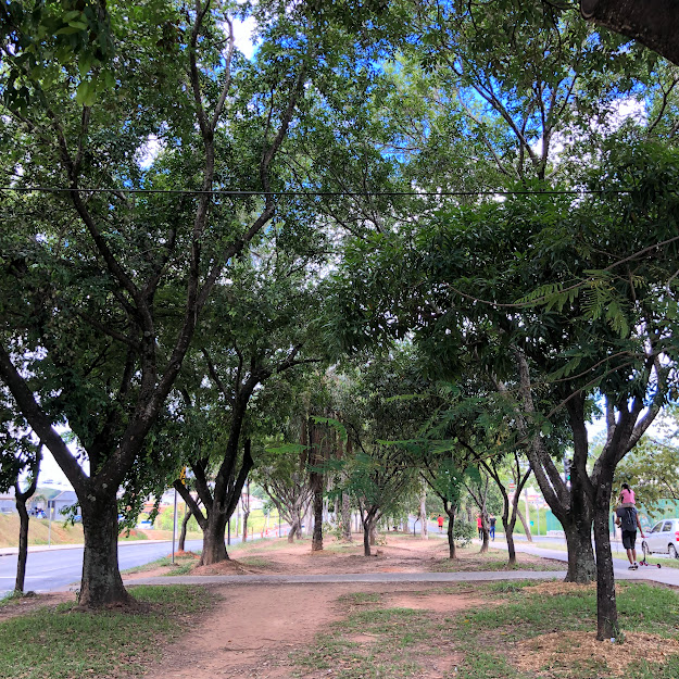 Sombreamento no Parque Linear José Cândido da Silveira.