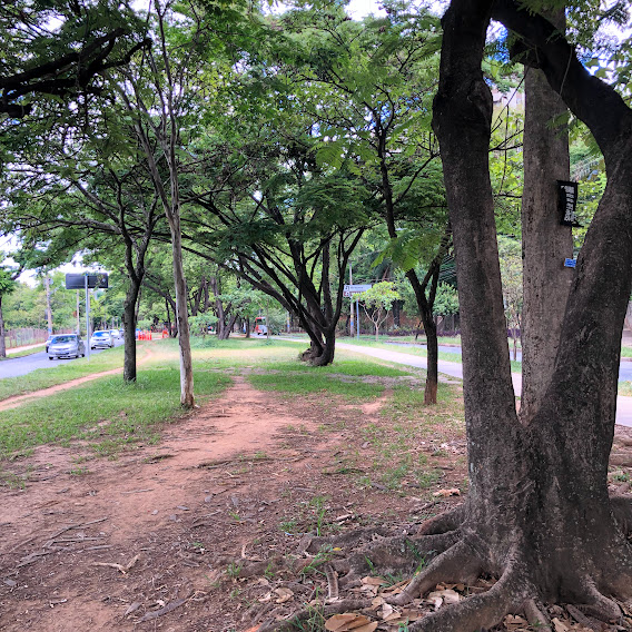 Parque Linear José Cândido da Silveira.