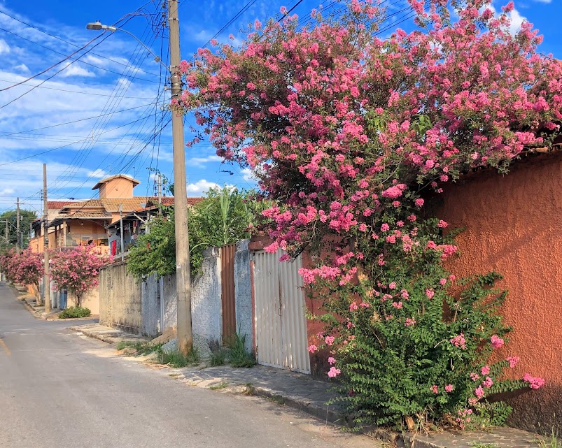 Escumilhas floridas.