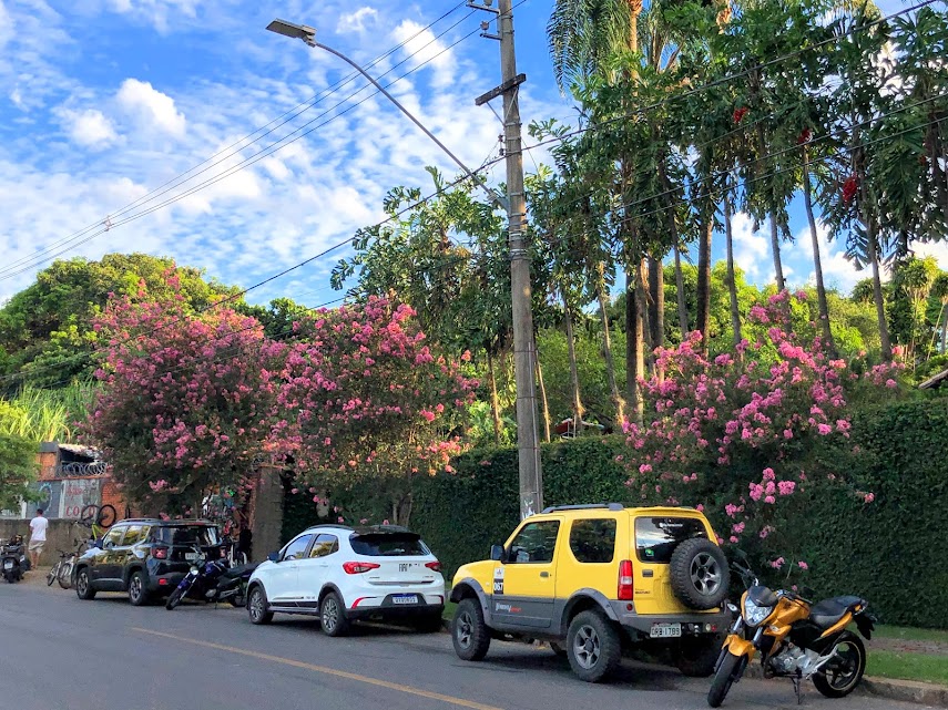 Sequência de escumilhas.