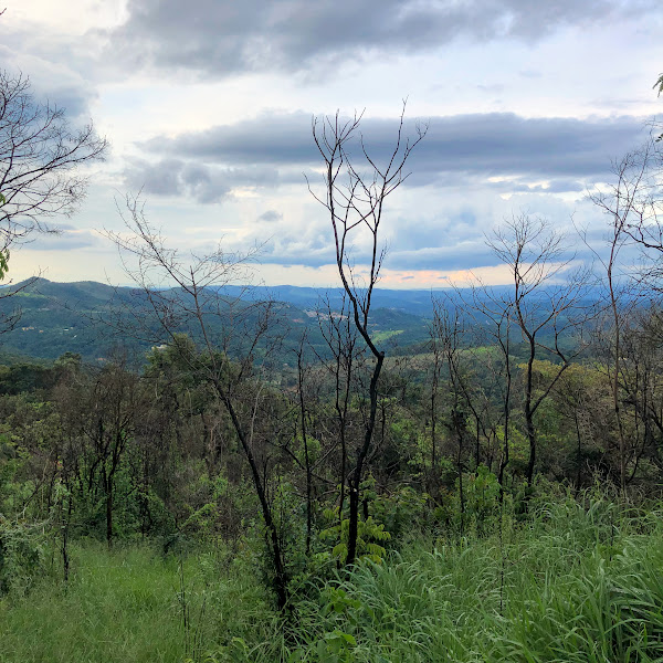 Monitoramento de incêndio florestal