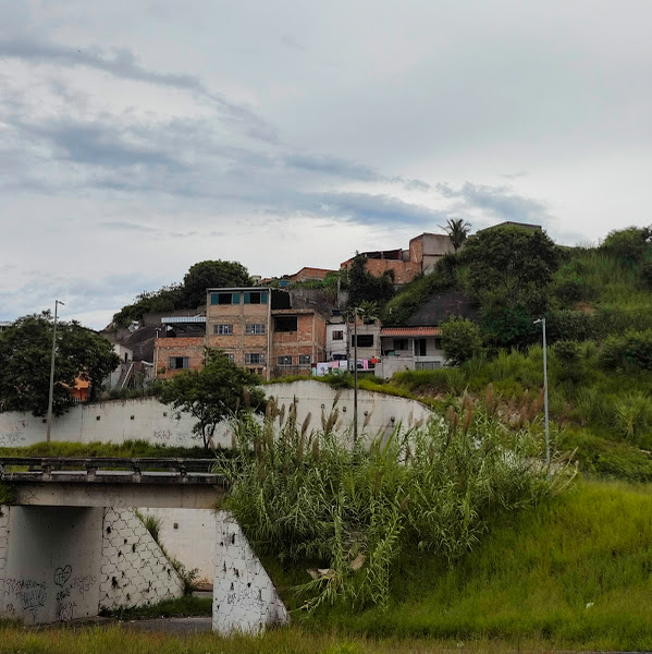 Maciço de milho.