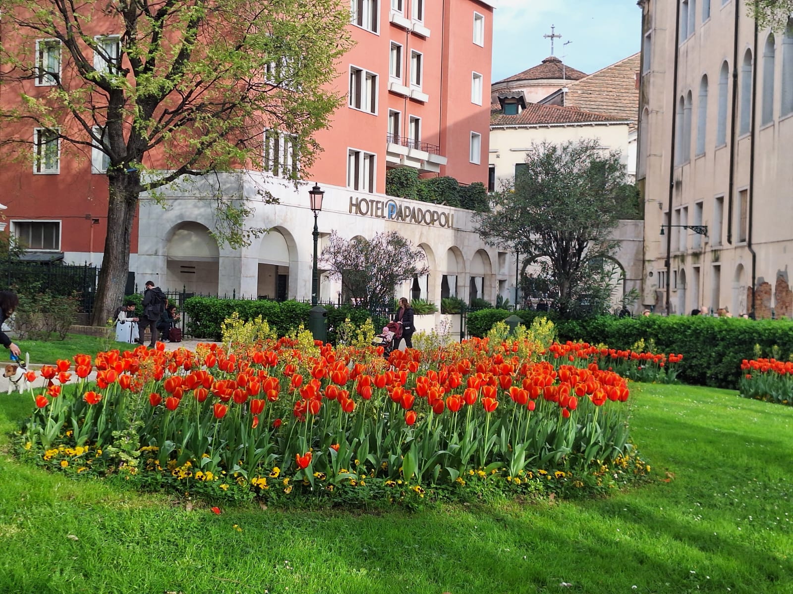 Maciço de tulipas.