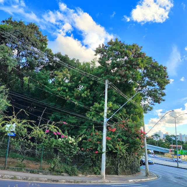 Sequência de primaveras.