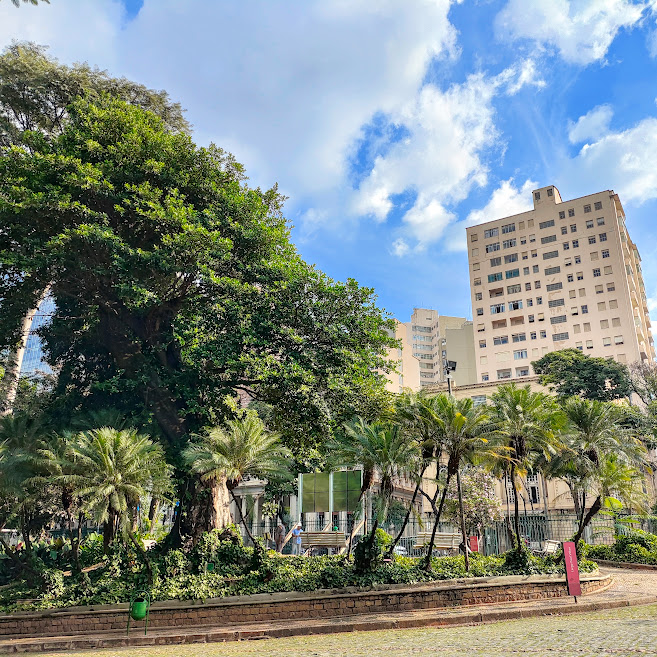 Maciço de tamareiras-de-jardim