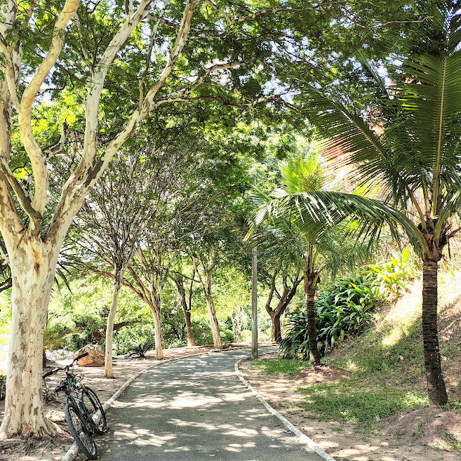 Parque municipal Cássia Eller Pista do Parque municipal Cássia Eller.